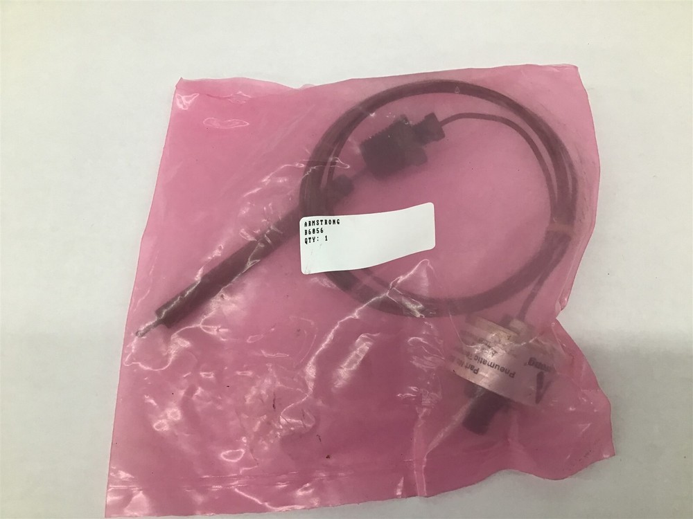 Armstrong B6056 Pneumatic Temperature Switch