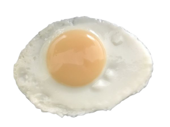 Display Faux Food Prop Poached Egg New