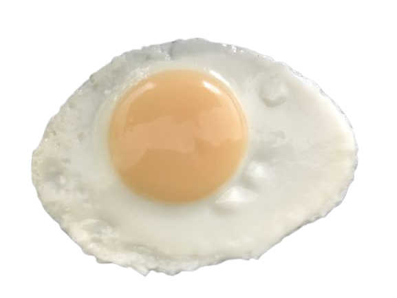 Display Faux Food Prop Poached Egg New