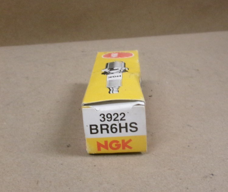 New NGK 3922 BR6HS Spark Plug