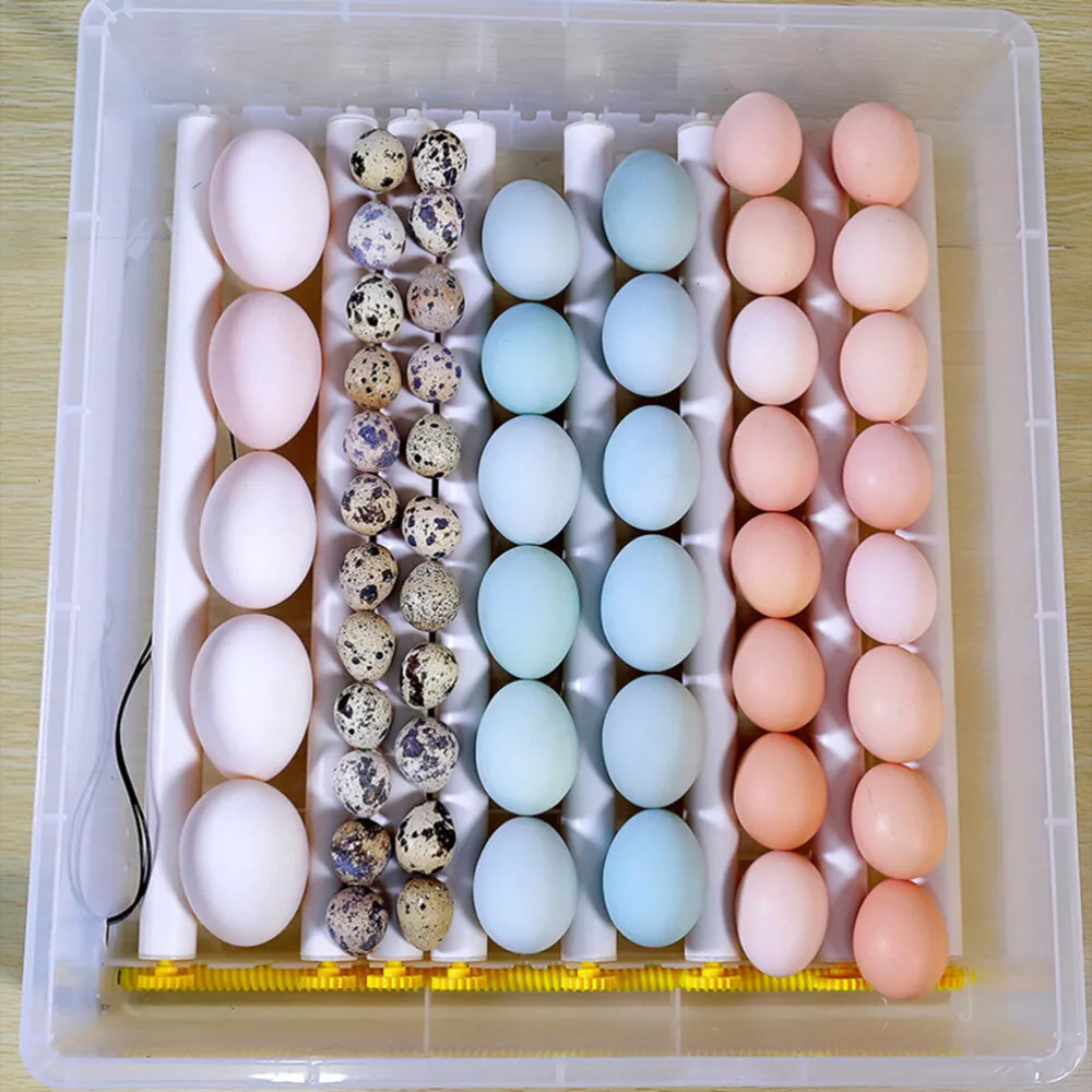 Egg Incubator 36 Eggs with Temperature Humidity Control Automatic Turning UK