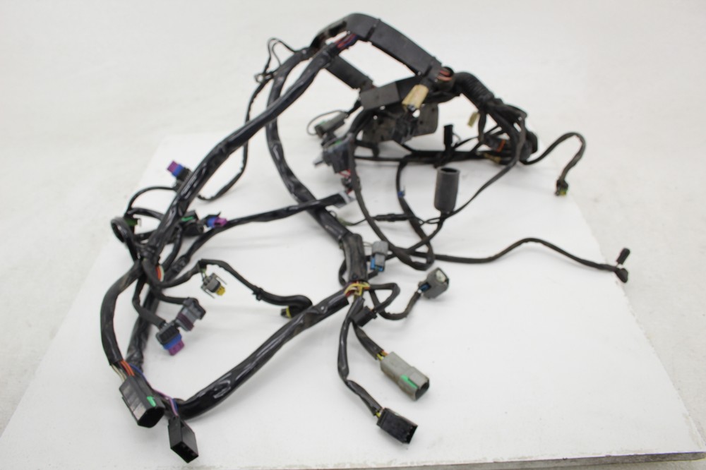 2006 Harley Davidson Heritage Flstc Main Engine Wiring Harness