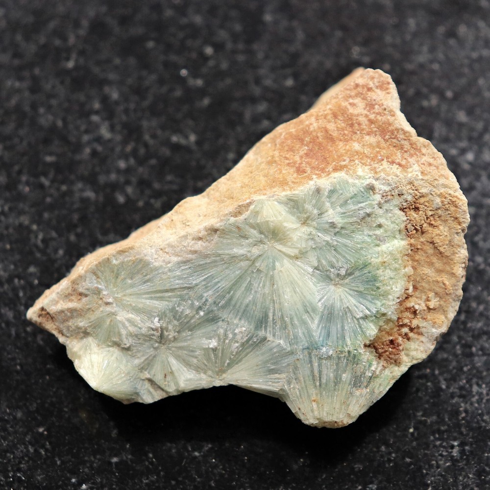 Fluorescent Mineral Specimen: Wavellite from Arkansas (MSC51)