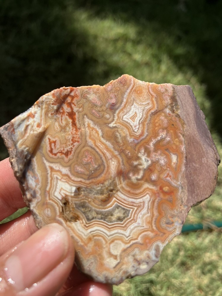 Dryhead Agate Slab (Montana)