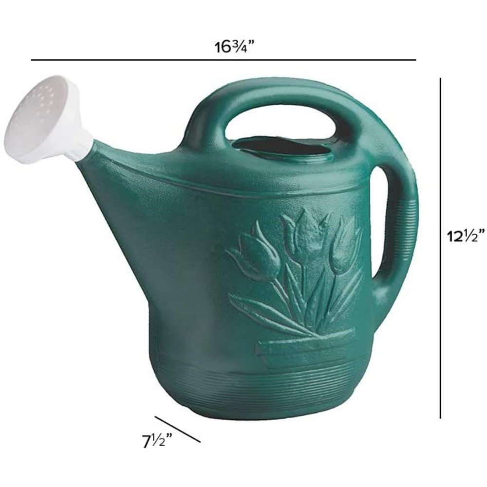 Novelty Classic Watering Plastic Can, Green, 2 Gallon (3 Pack)