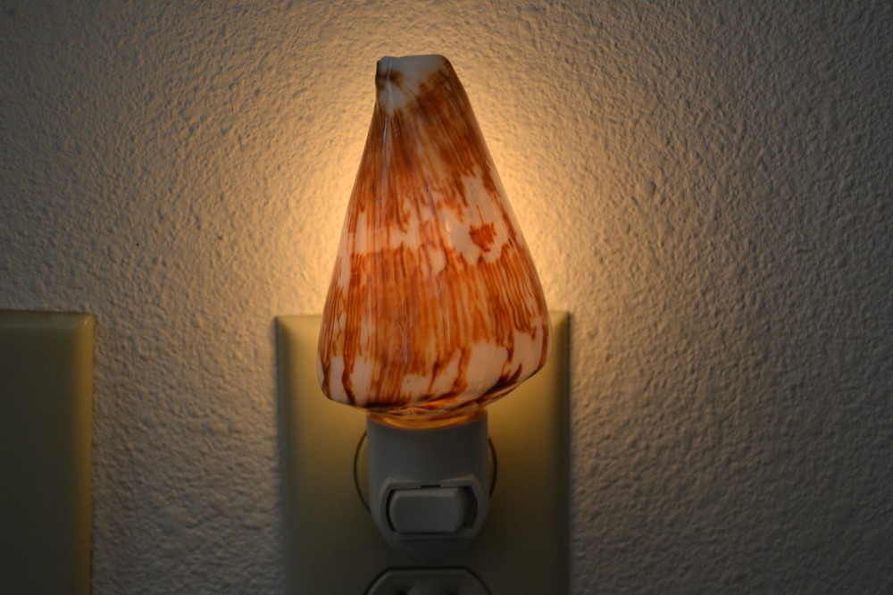 RAT CONE SEA SHELL NIGHT LIGHT BATHROOM KITCHEN #7254