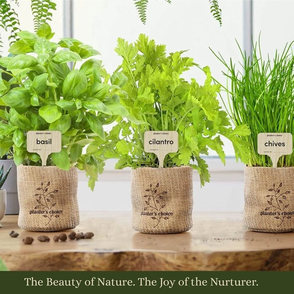 Planter's Choice Indoor Herb Growing Kit