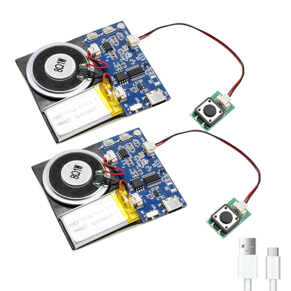 Module - 16MB Push Button Activated Sound Module with Speaker, Type-C Cable, ...