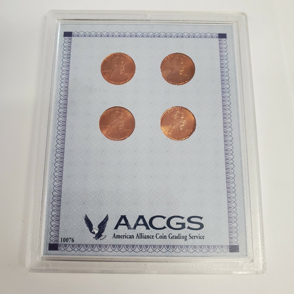2009 P PENNY SET IN HARD PLASTIC