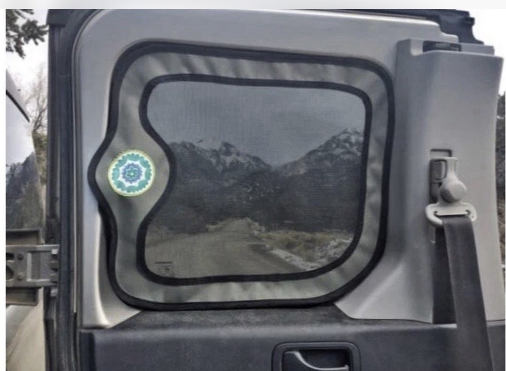 Honda Element pop Out Window Bug Screens By Rain Dean