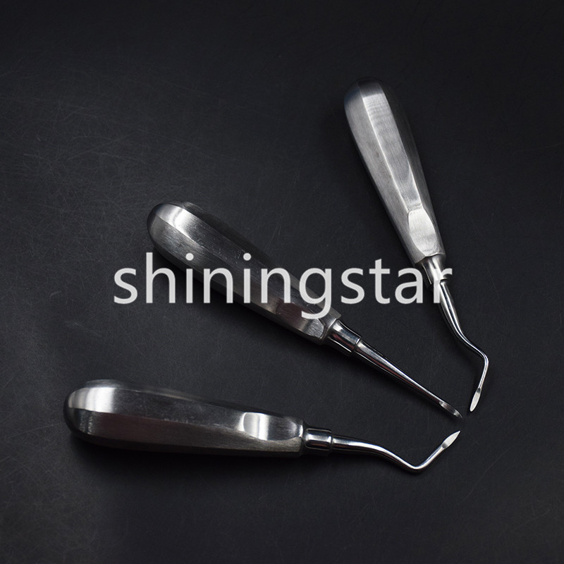 6 Pcs Dental Apical/Apex Elevator Extraction Root Elevator Left/Right/Straight