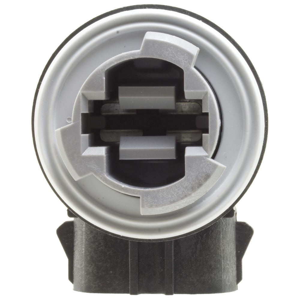 Turn Signal Light Socket WVE 1P1327