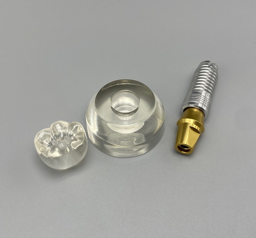 Dental Implant Model Detachable Demonstration Teeth Study Teach Model M2020