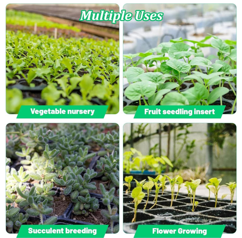 10-Pack Seed Starter Kit, 72-Cell Seedling Trays for Germination