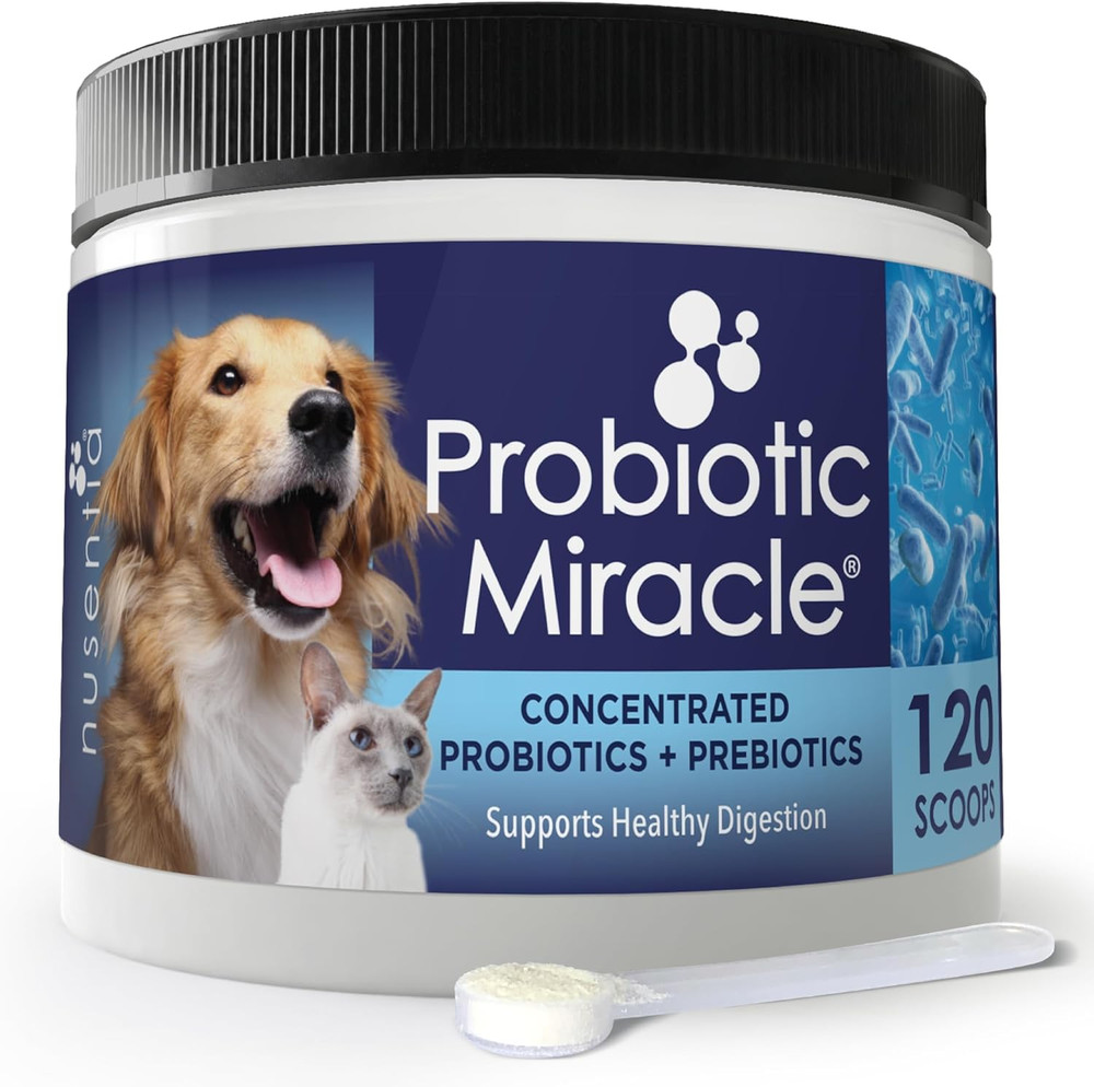 Probiotics for Cats & Dogs : Probiotic Miracle : Bowel & Gut Support : Digestive