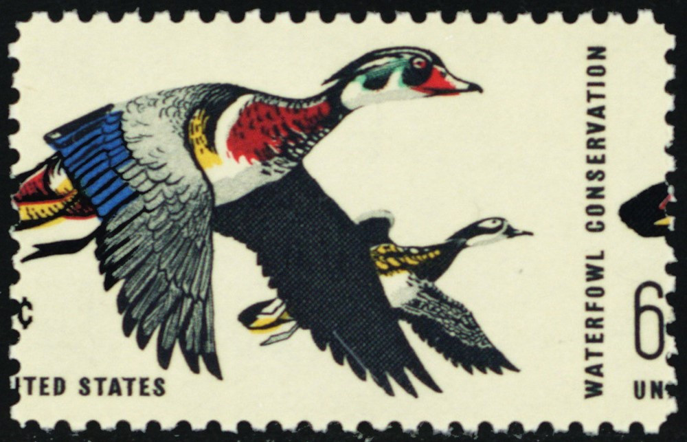 1362, Mint NH 6¢ Misperfed Error Duck Stamp * Stuart Katz