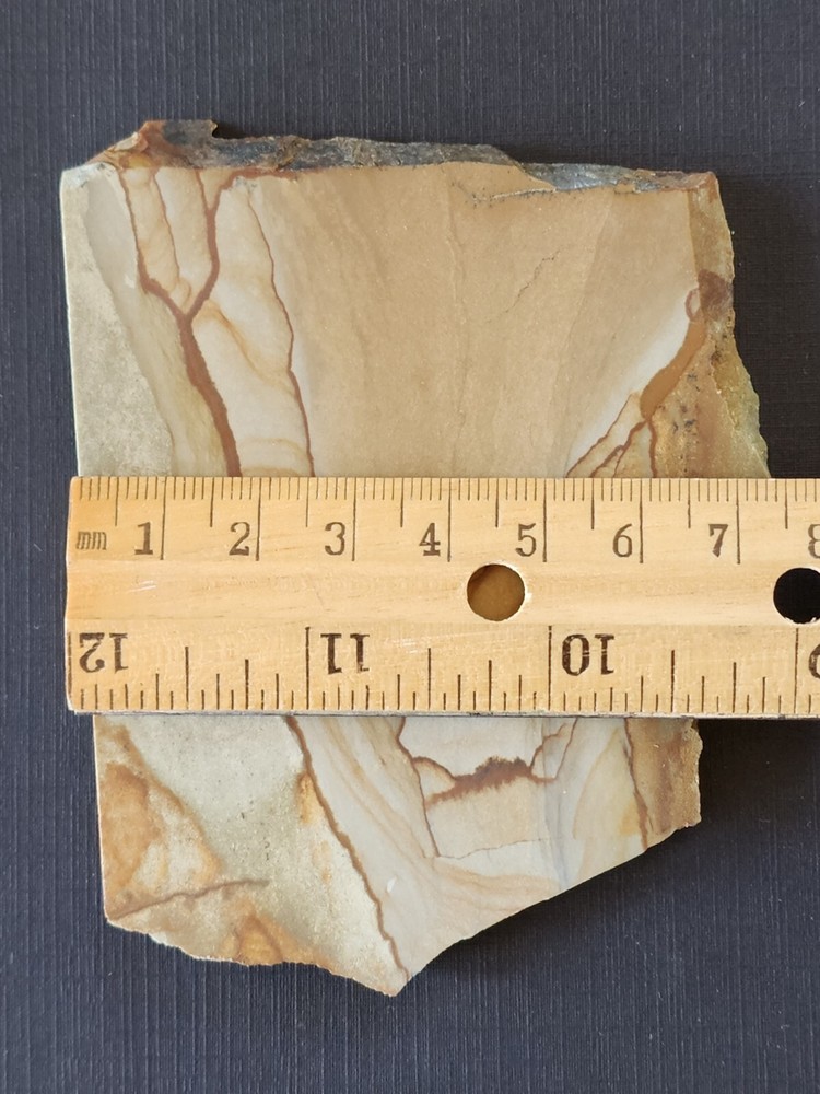 Biggs Picture Jasper Slab Old Material Oregon
