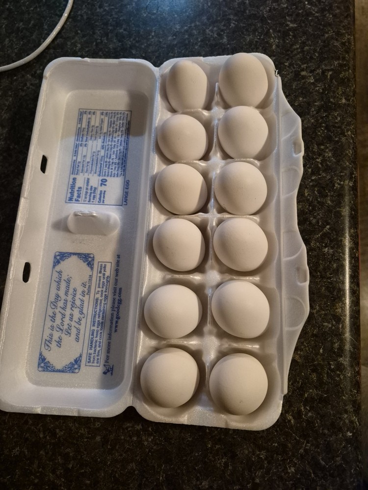 12+ Silver Spangled Hamburg Hatching Eggs NPIP Certified