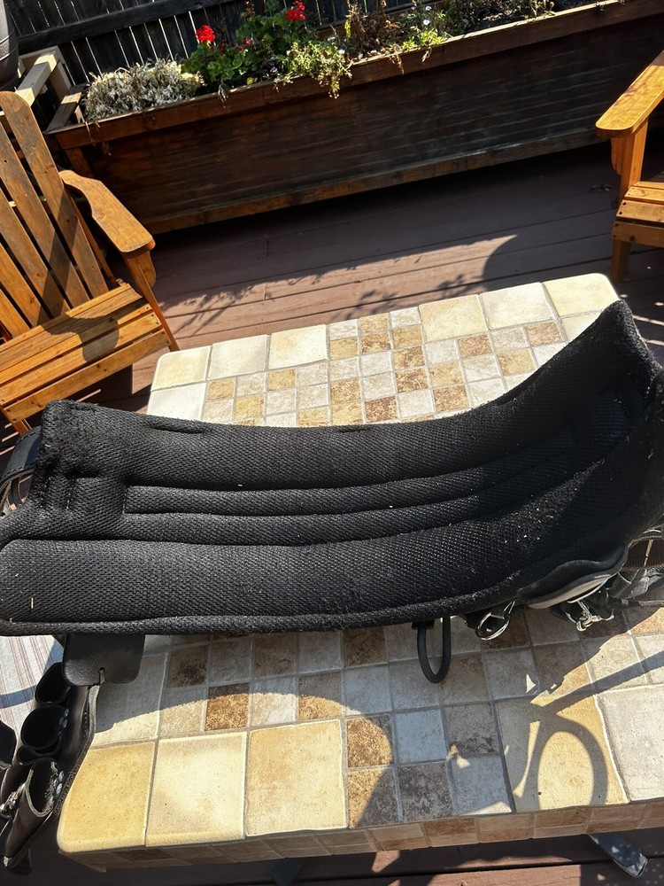 Buckingham Lineman Pole Climbing Gear