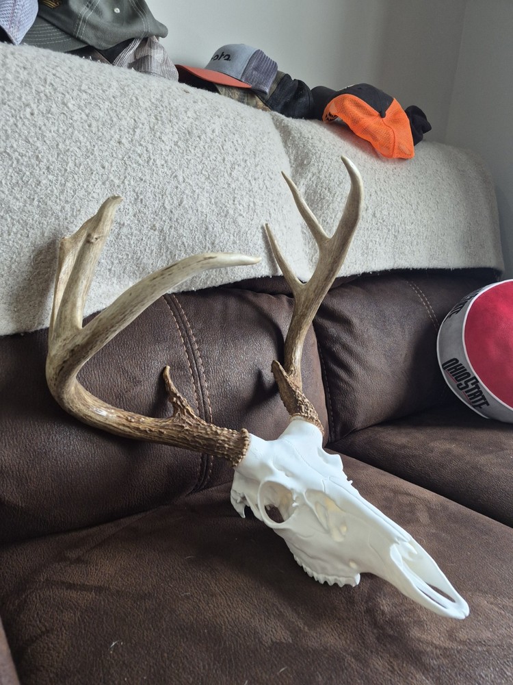 Whitetail Shed/mount Kit