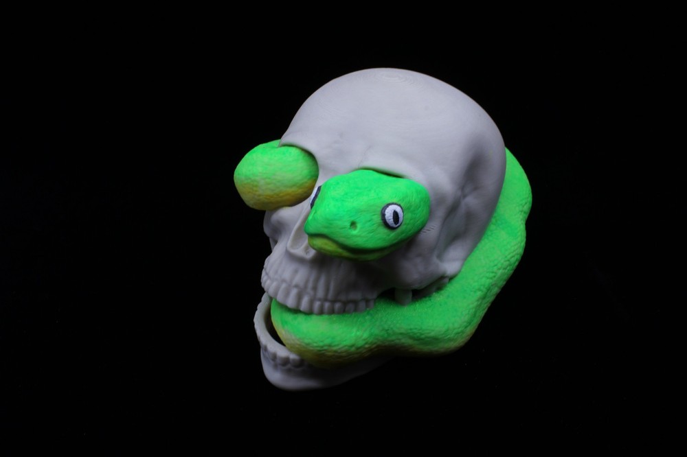 A 3D Printed Skull with Snake Crawling Through It (Hand Painted)