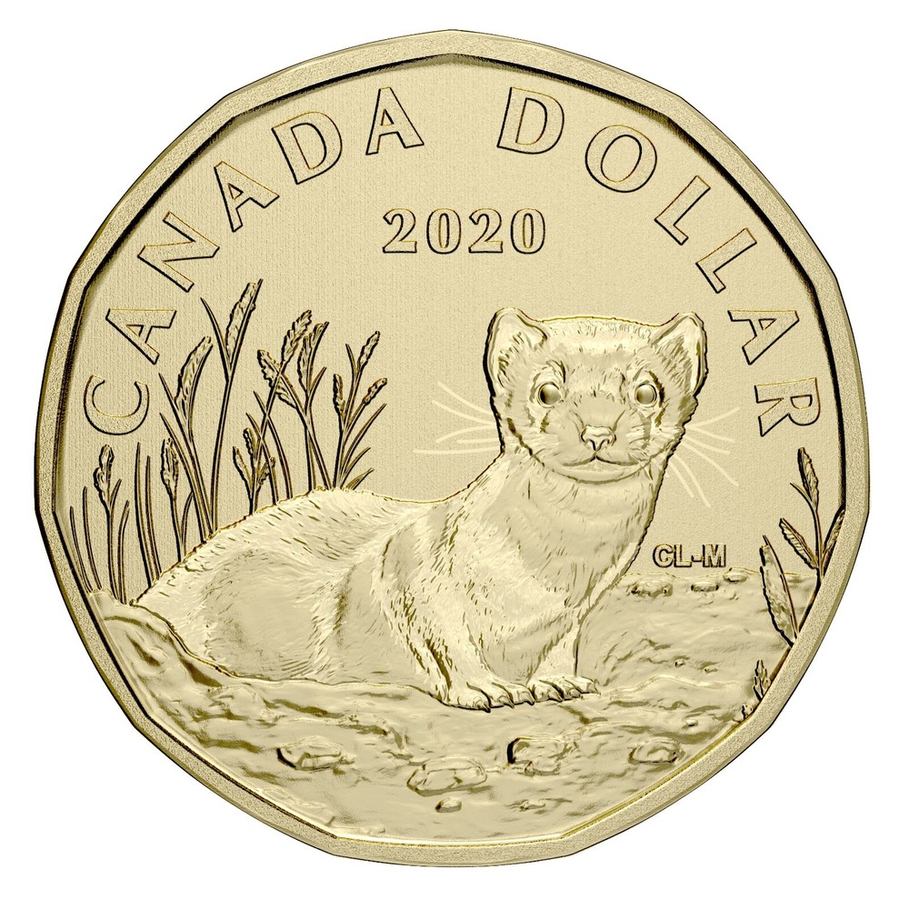 Canada 2020 Black-footed Ferret Specimen Set