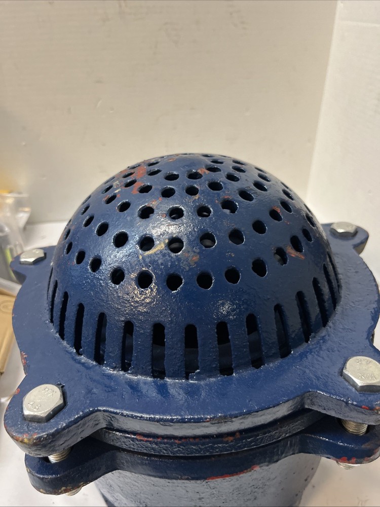 Cast Iron Foot Valve