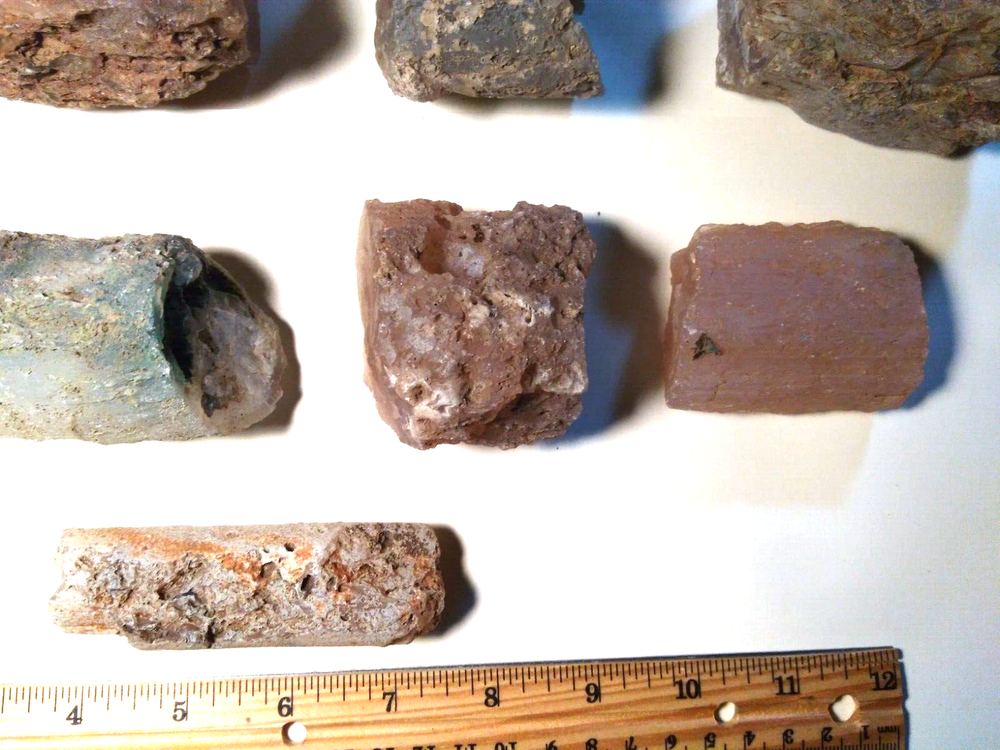 Petrified Wood Limb Casts- Over 8-1/2 lbs.
