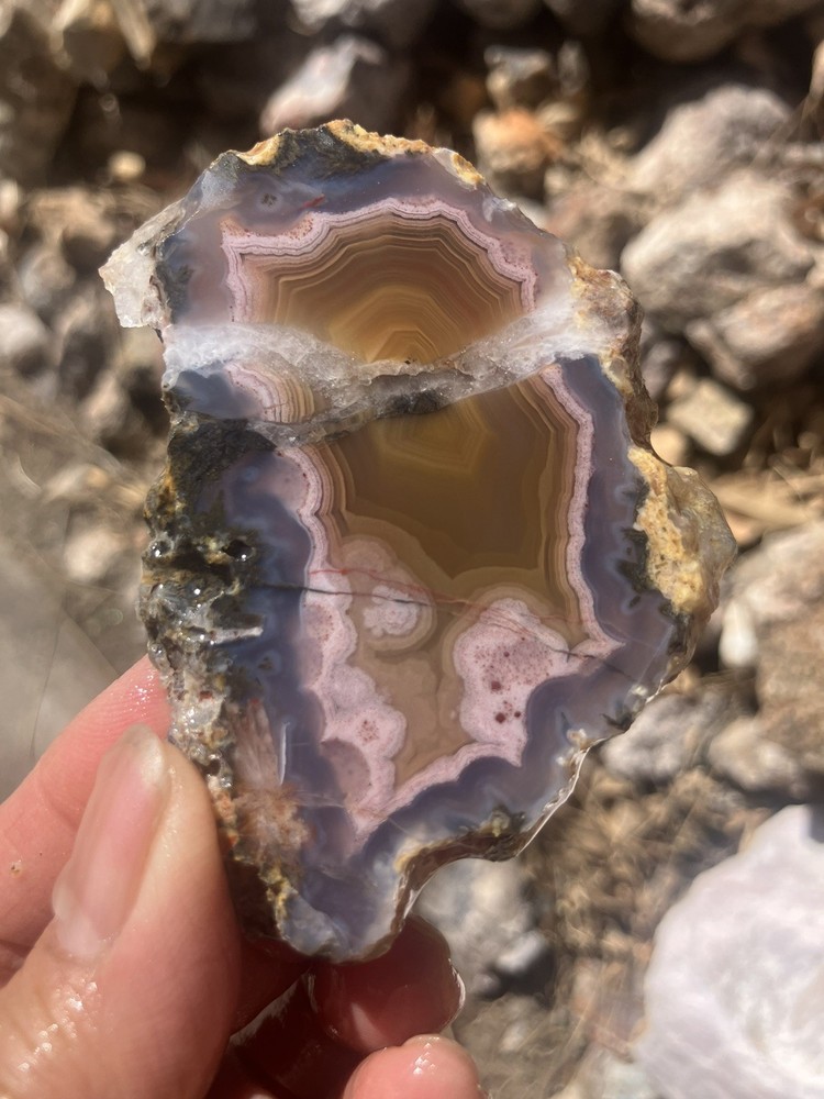 Laguna Agate Slab
