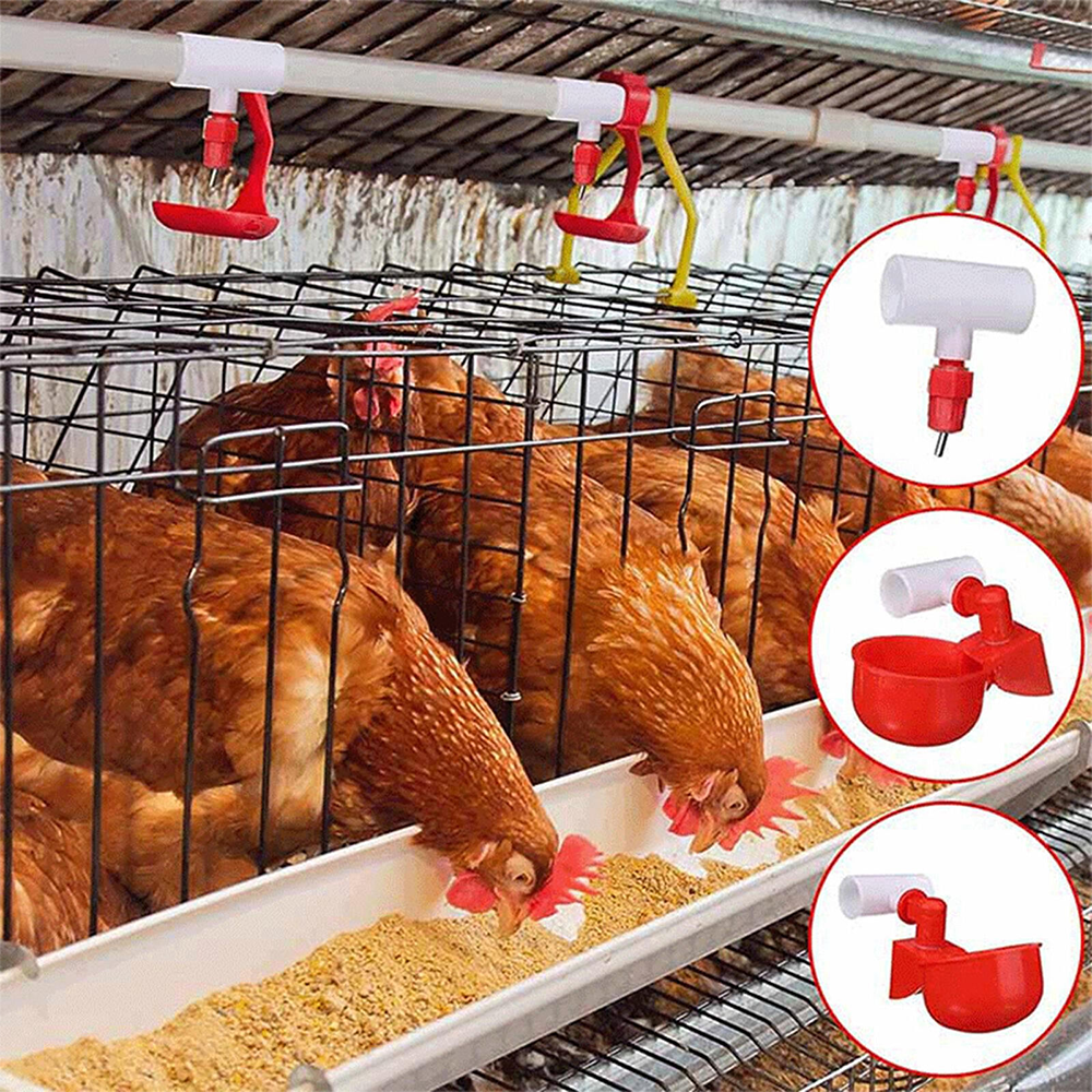 （10pcs） three-way Connector For Chicken Waterer Fully Automatic