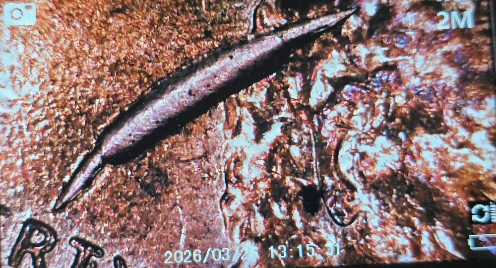2010 Lincoln Shield Cent 💥Large Retained Strike Through Obverse Mint Error💥