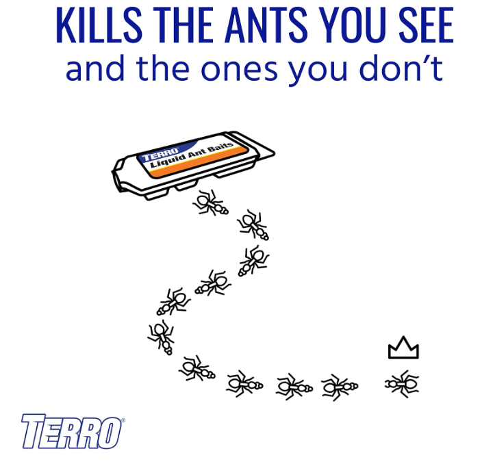 TERRO T300B Liquid Ant Killer, 12 Bait Stations