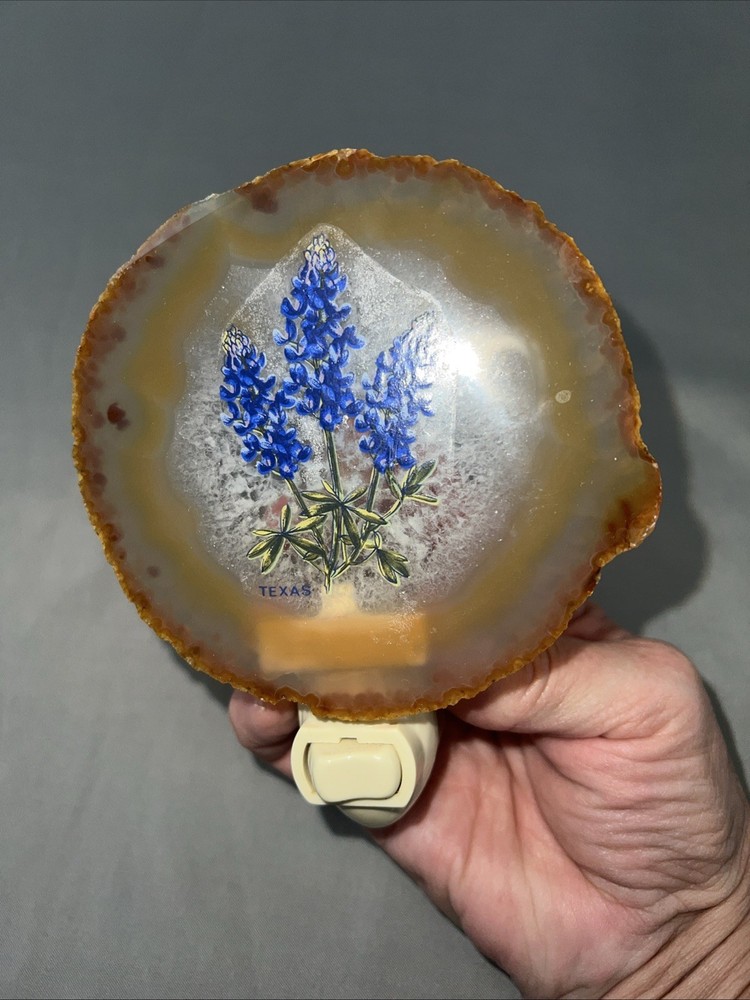 Vintage  Blue Bonnet Texas Night Light