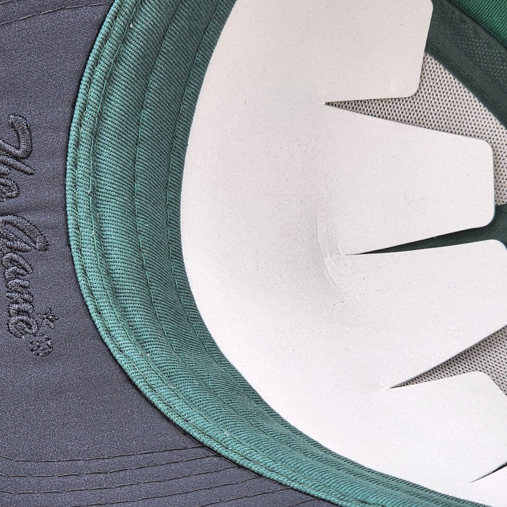 Hudson Hawks Hat, Green & White Cap, The Game, Strapback - NWT
