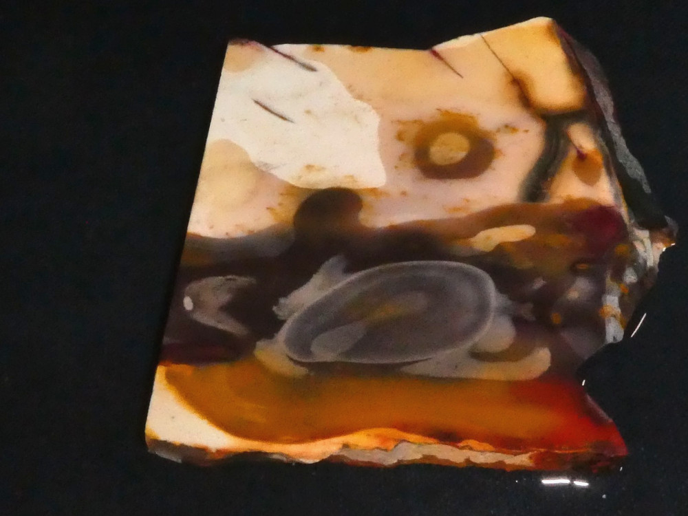 MOOKAITE JASPER- 3 1/2" x 3 1/4 "  rough, cabbing - display , science