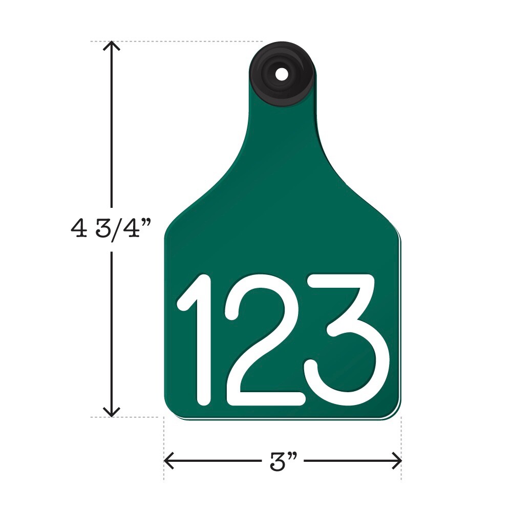 100 cattle cow ear tags custom personalized never fade. Both sides engraved.