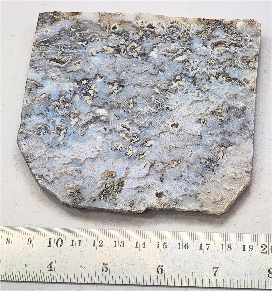 Graveyard Point Plume Agate Large Slab for Cab Cutting Rough