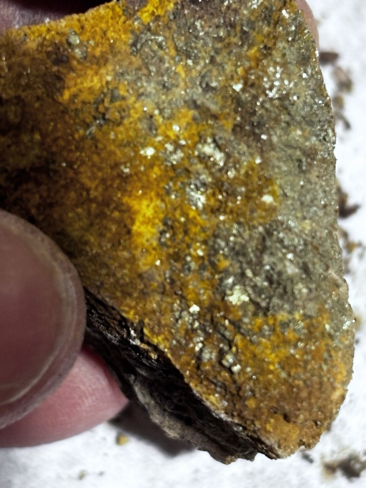 arizona silver gold ore specimen