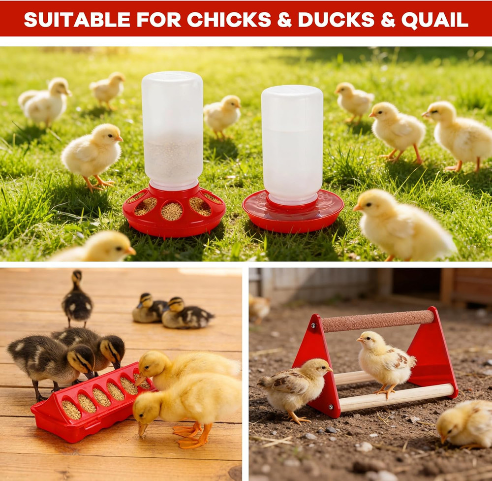 Chicken Feeder and Waterer Set, Chick Starter Kit with Chick Perch