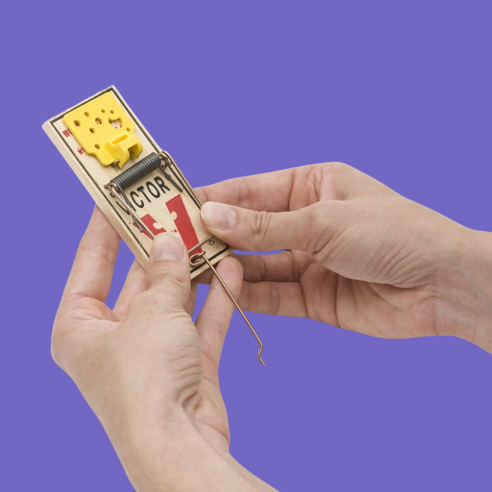 Easy Set Mouse Traps, 2-Pack ( 4 count )