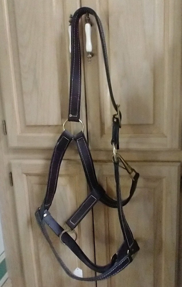 Amish made brown leather draft horse size halter