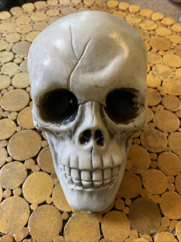 Halloween Skeleton Skull - Prop - Decor