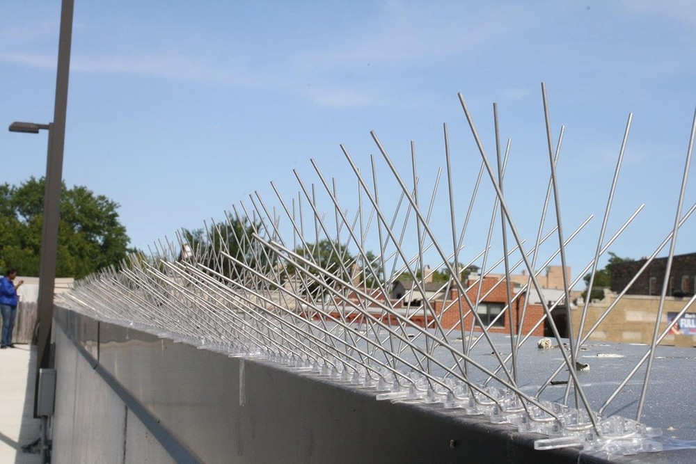 6-Inch Regular Width Stainless Steel Bird Spikes - Safe and Effective Solution