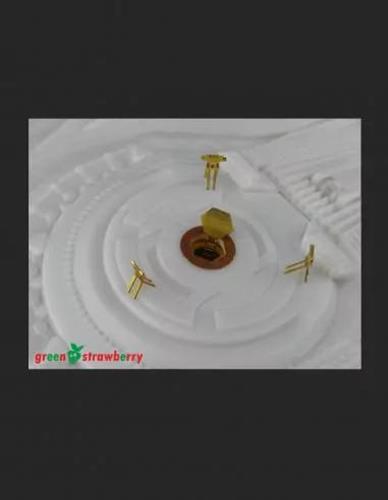 Green Strawberry OberthCVlass - Fruit Pack