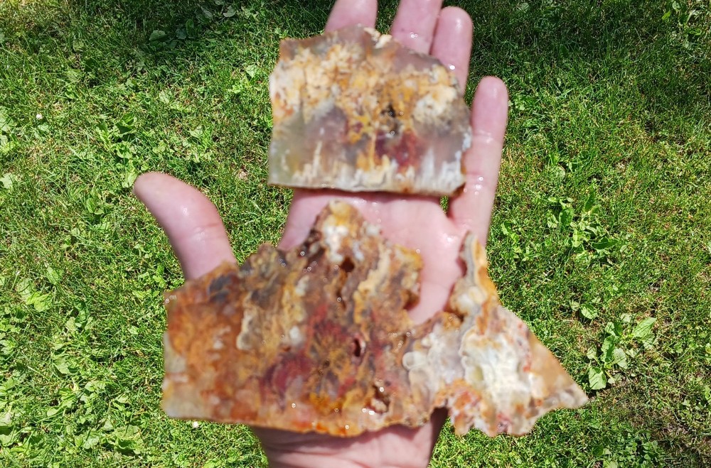 Graveyard Point Plume Agate Old Stock