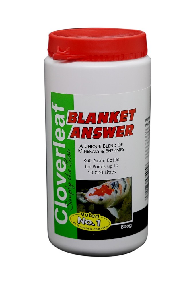 Cloverleaf Blanket Answer Blanketweed Treatment 800gram Pond   (ship from CA)