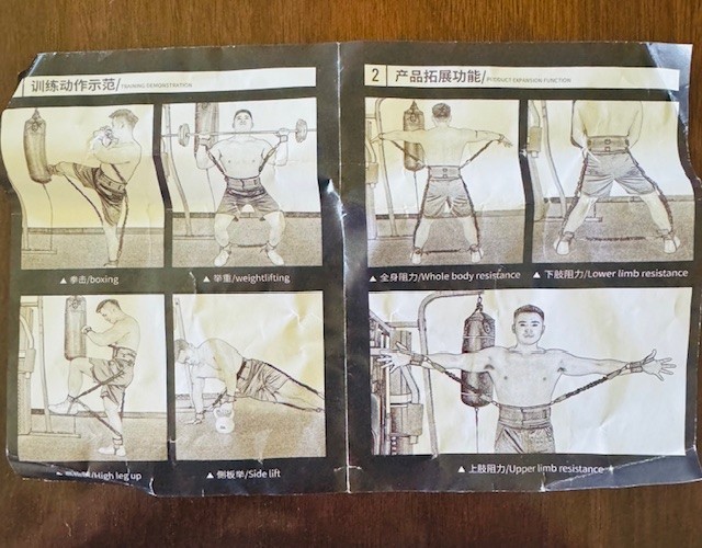 whole body training device