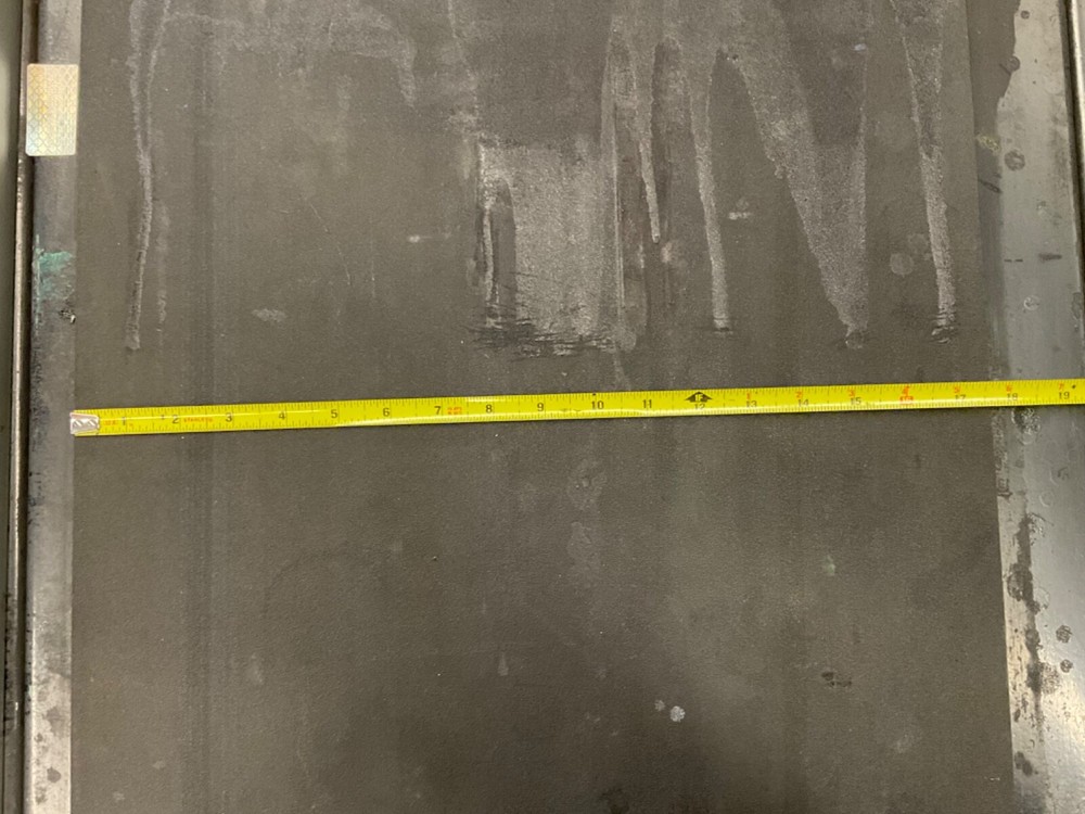 Roach conveyor belt system