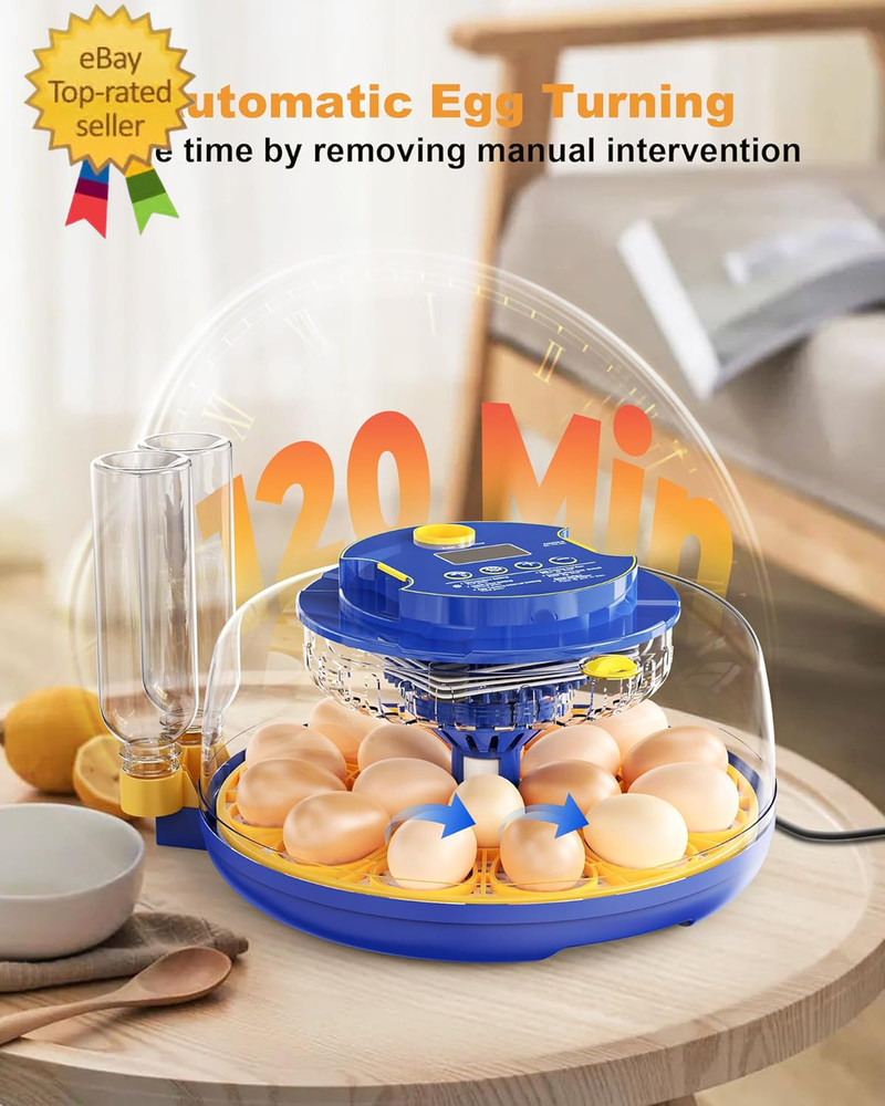 18 Chicken Egg Incubators for Hatching Eggs: Egg Incubator with Automatic Egg