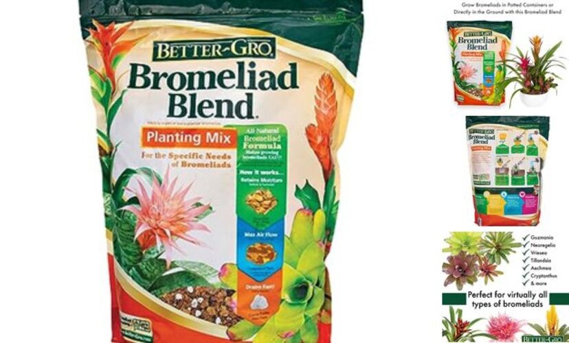 Bromeliad Blend 8 Quart